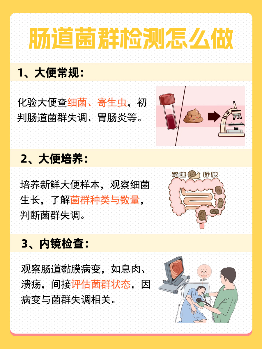 医生带你了解，肠道菌群检测怎么做？