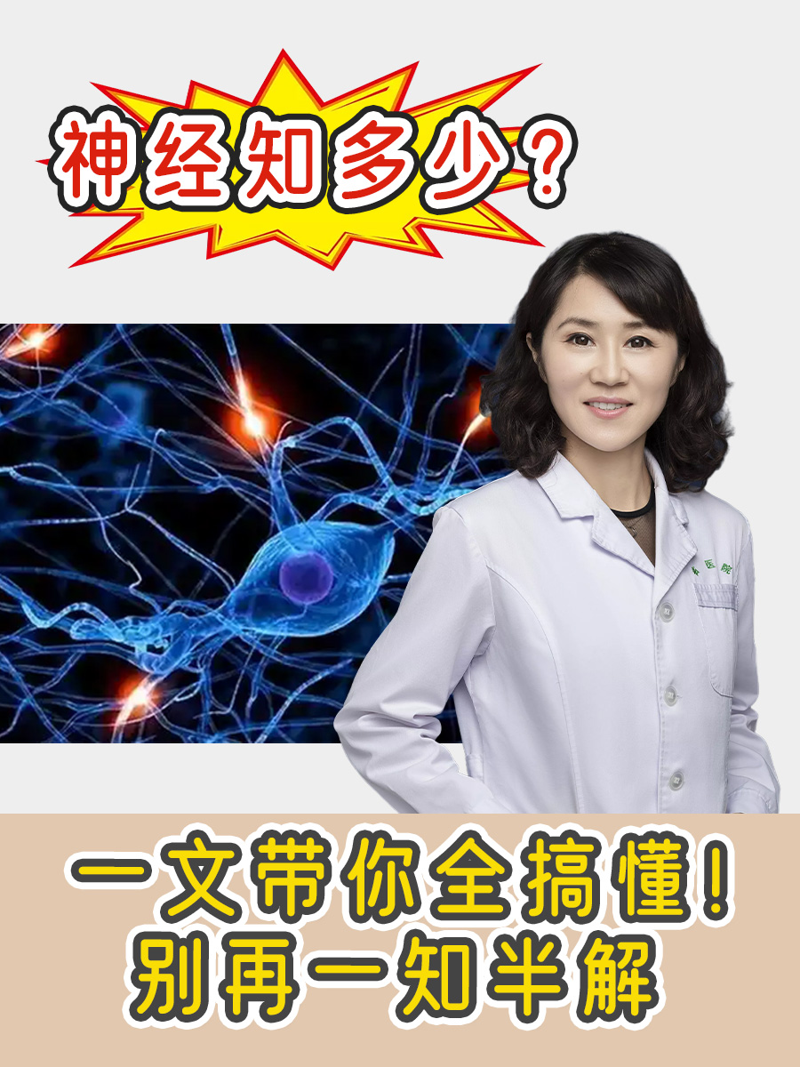 神经知多少?一文带你全搞懂!别再一知半解