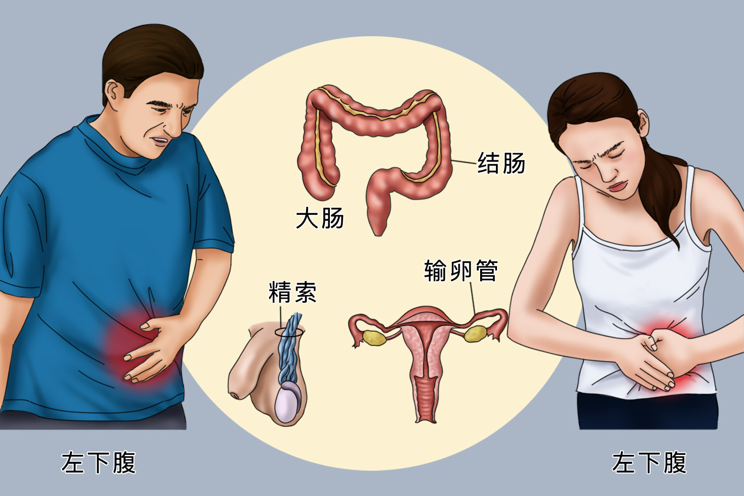 腹部左下方疼位置图 腹部左下方疼位置图