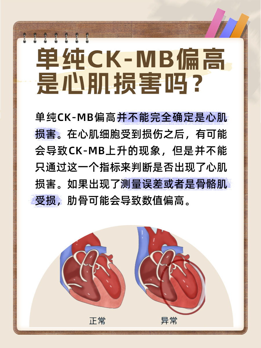 单纯CK-MB偏高就是心肌损害吗？看看答案解析
