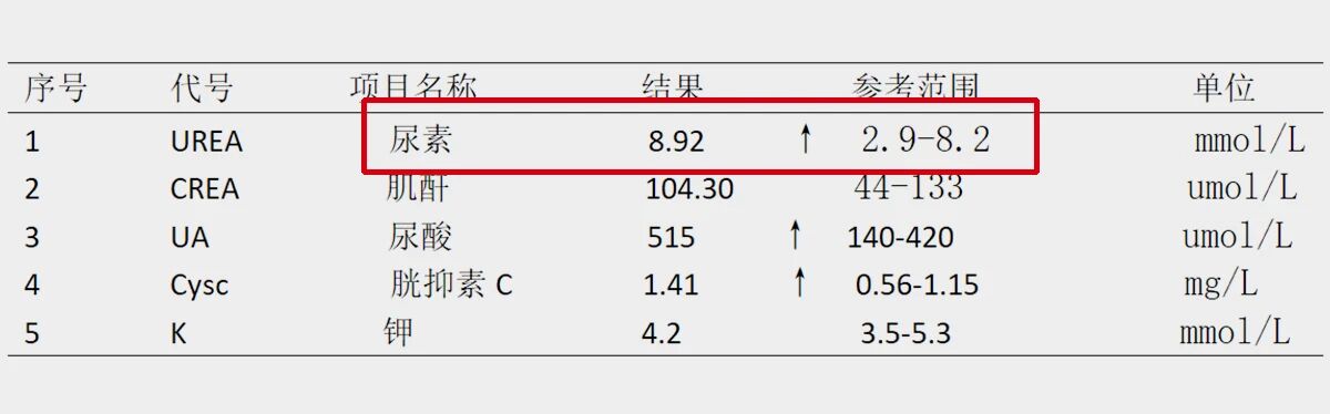 微信图片_2026-06-17_095742_242.jpg