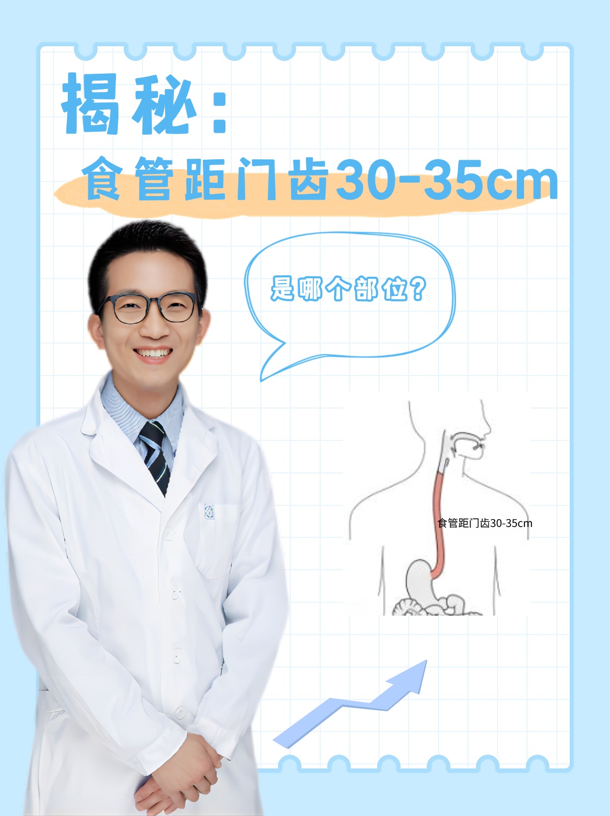 揭秘:食管距门齿30-35cm是哪个部位?
