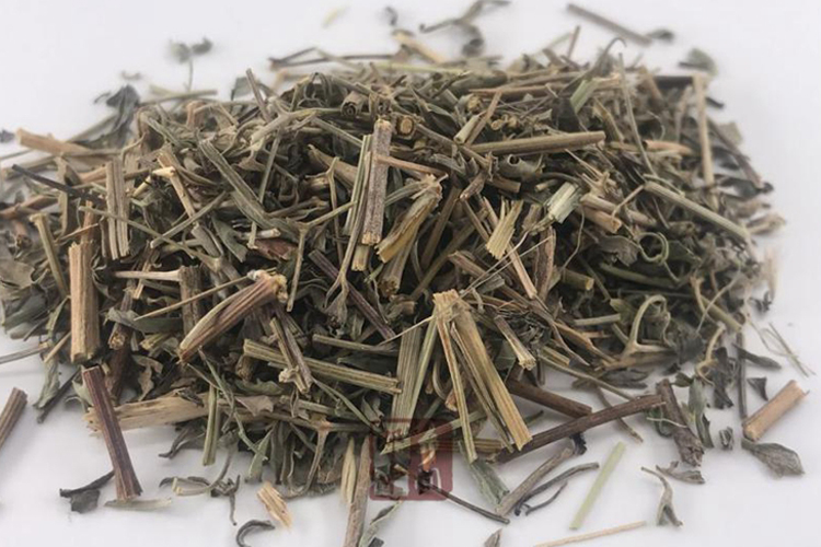 透骨草中药图 透骨草中药图