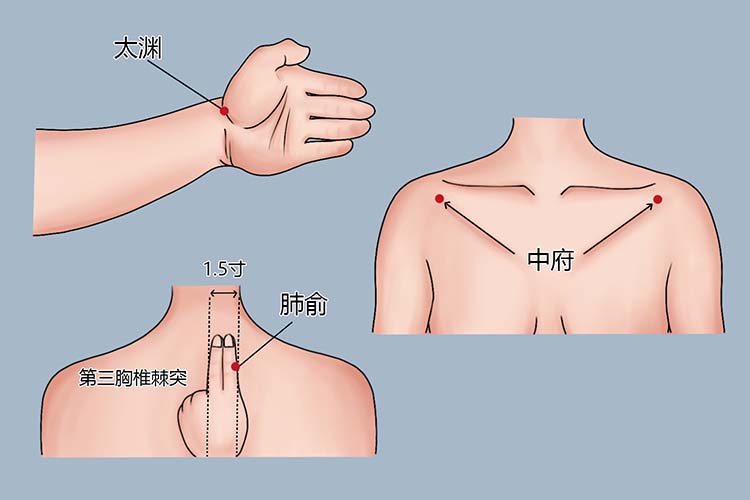 中府穴、肺俞穴、太渊穴位置图