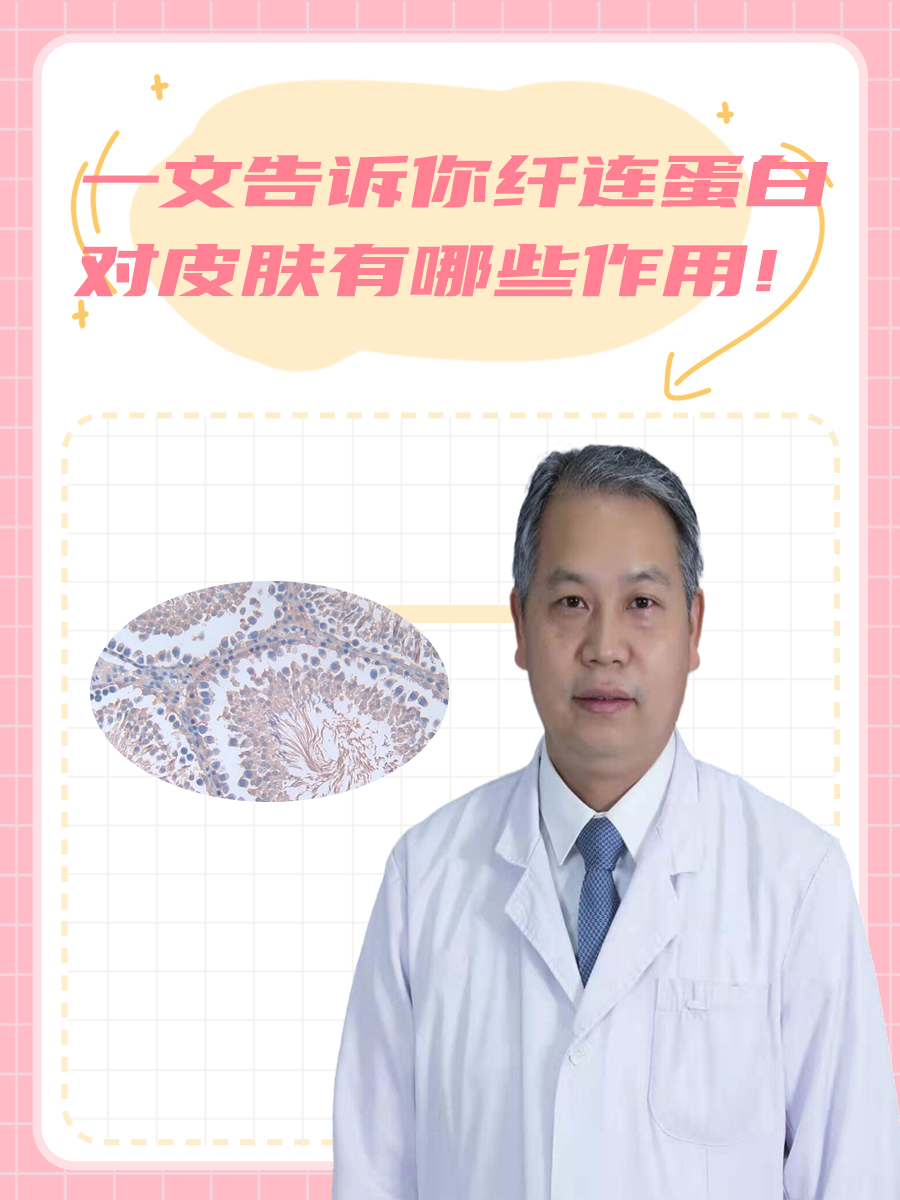 一文告诉你纤连蛋白对皮肤有哪些作用！