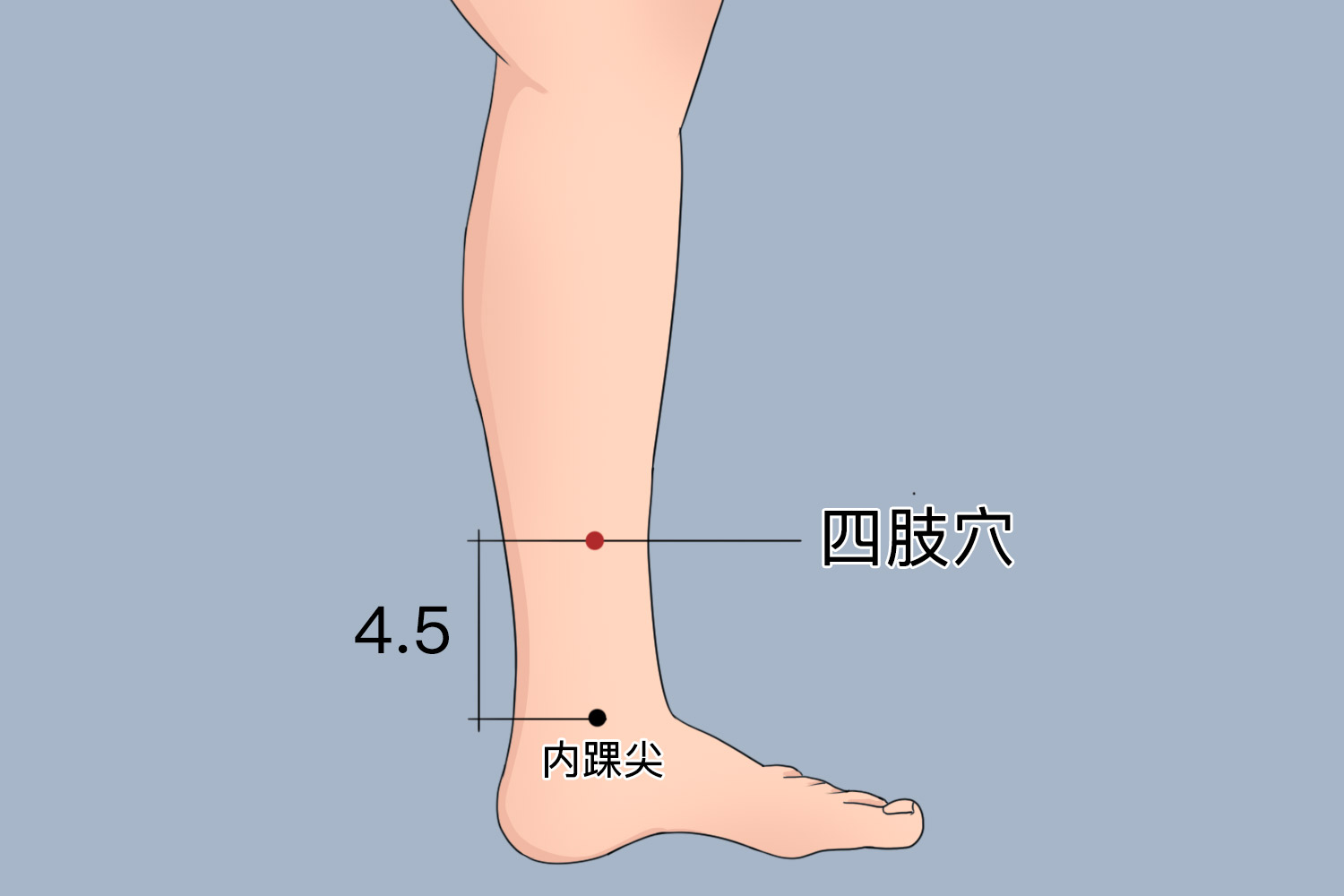 董氏奇穴四肢穴位置图