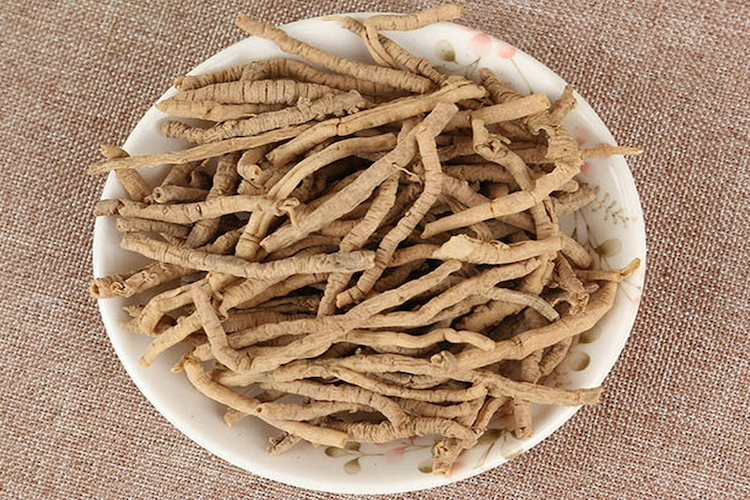 远志药材外观图