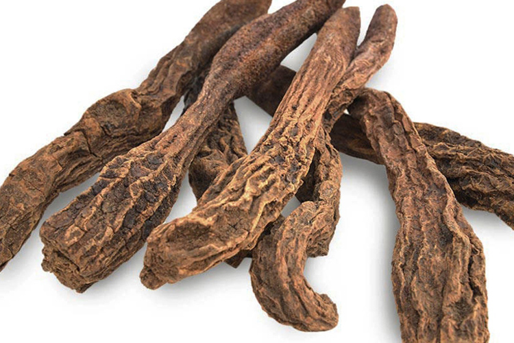 中药材野生锁阳图