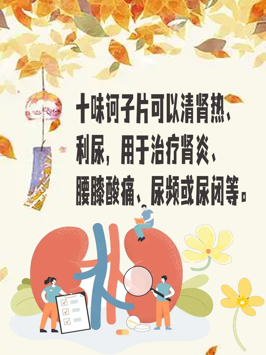 揭秘十味诃子片：功效与作用的解读