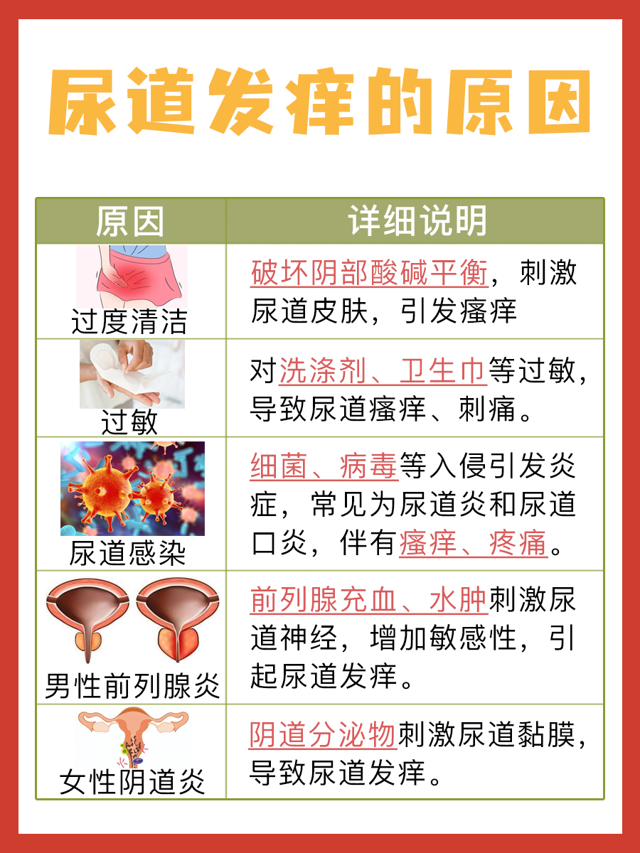 一文了解:尿道发痒什么原因?