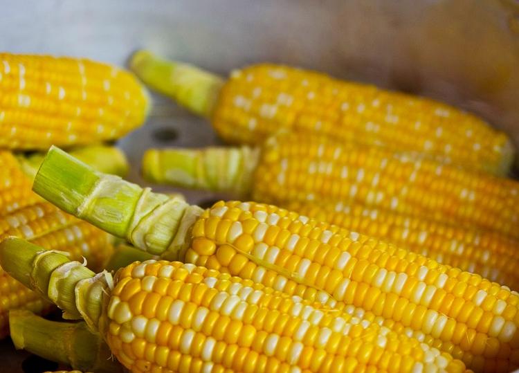 玉米.jpg
