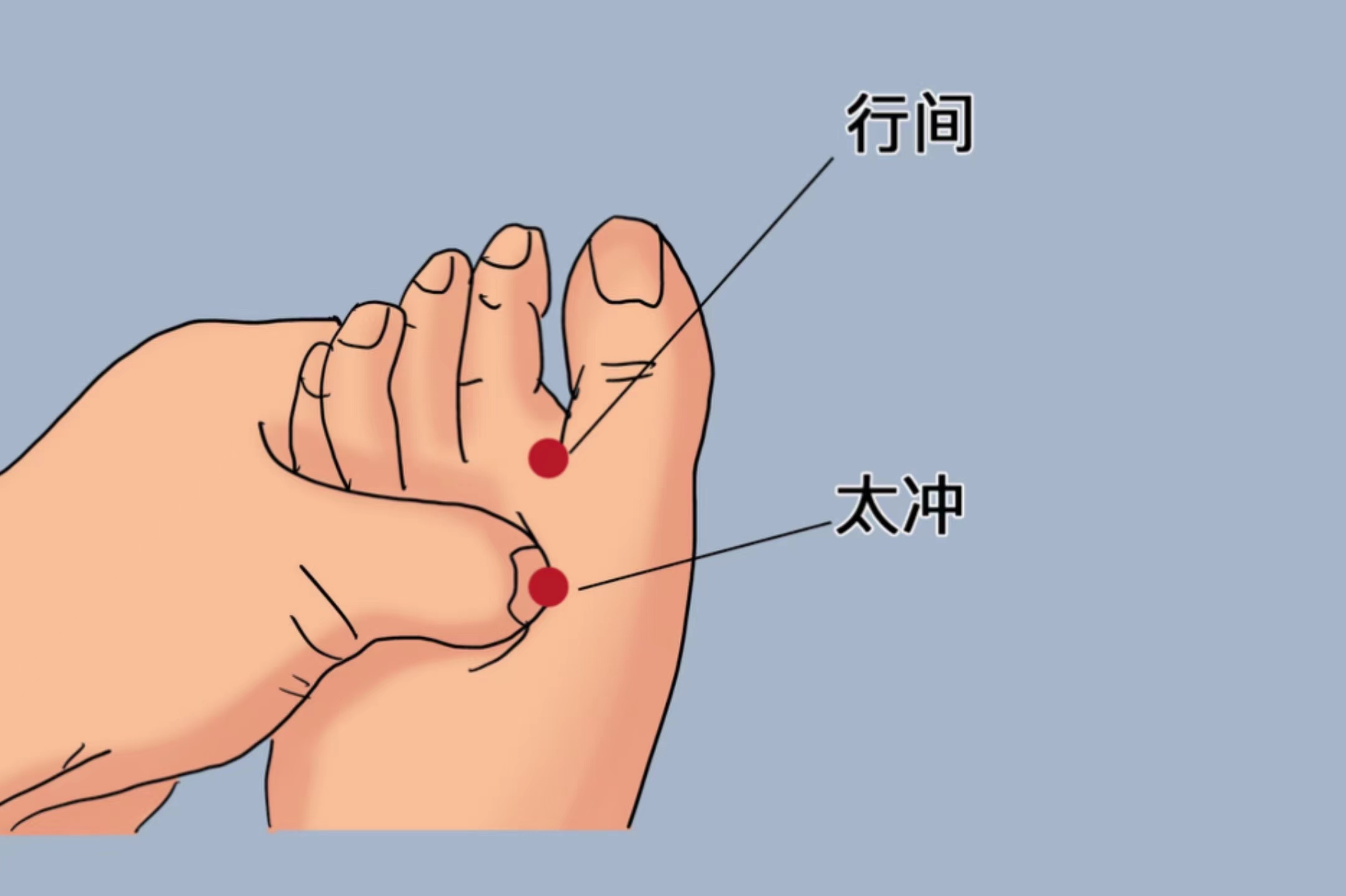 艾灸太冲穴位置图