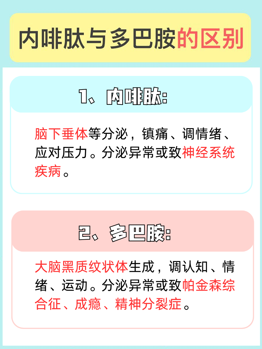 内啡肽VS多巴胺,你真的了解它们的不同吗?