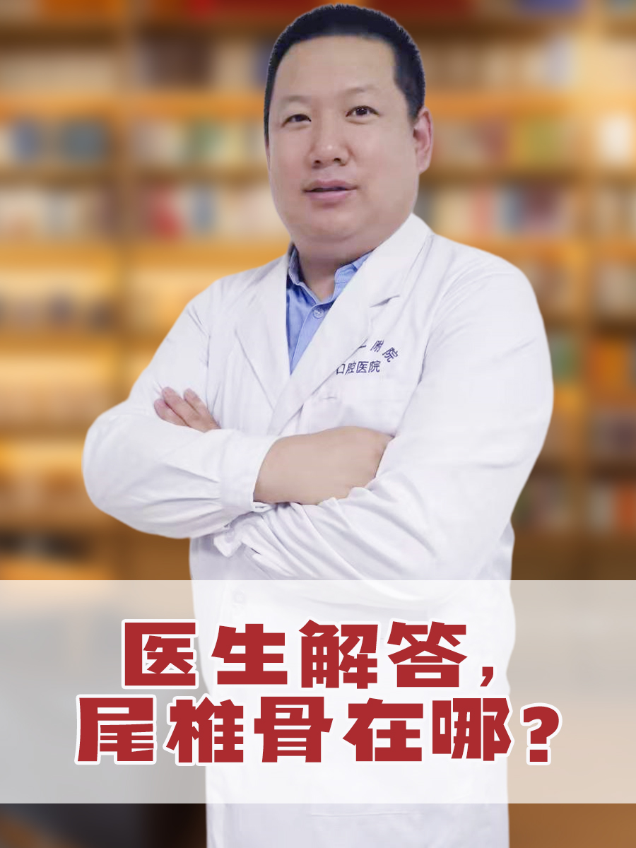 医生解答，尾椎骨在哪？