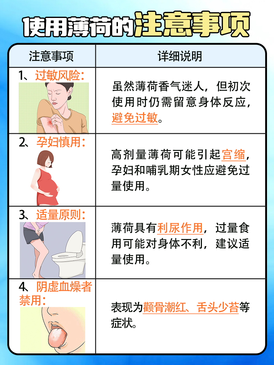 中药材薄荷多少钱一斤？价格大揭秘！