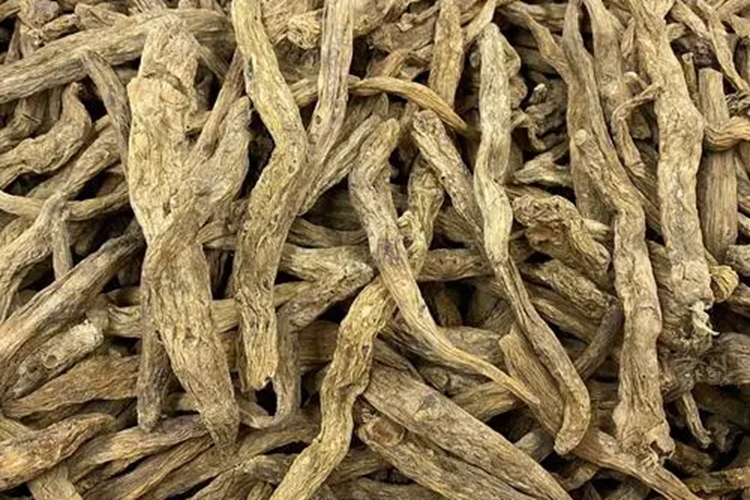 百部根药材图片_有来医生