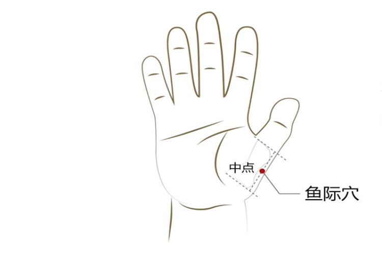 鱼际穴位置图