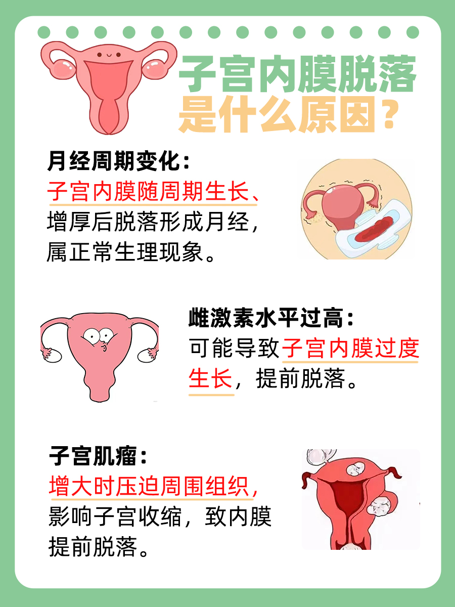 医生解析：子宫内膜脱落的真相