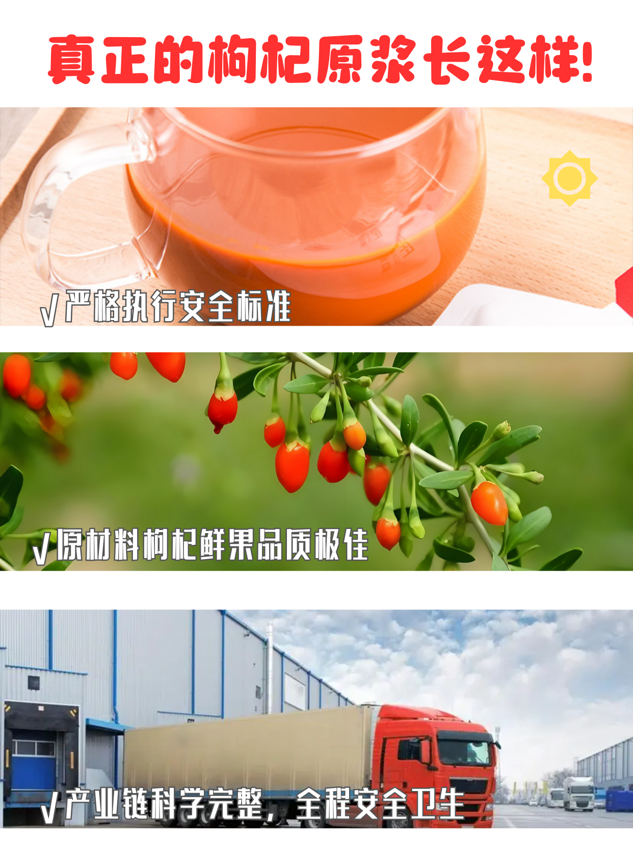 枸杞原浆有假的吗？擦亮双眼！长这样的千万别碰