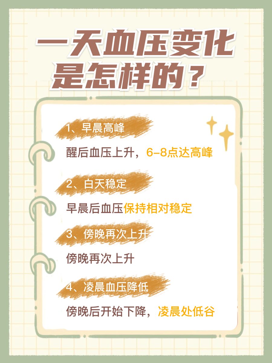 一天血压变化曲线图