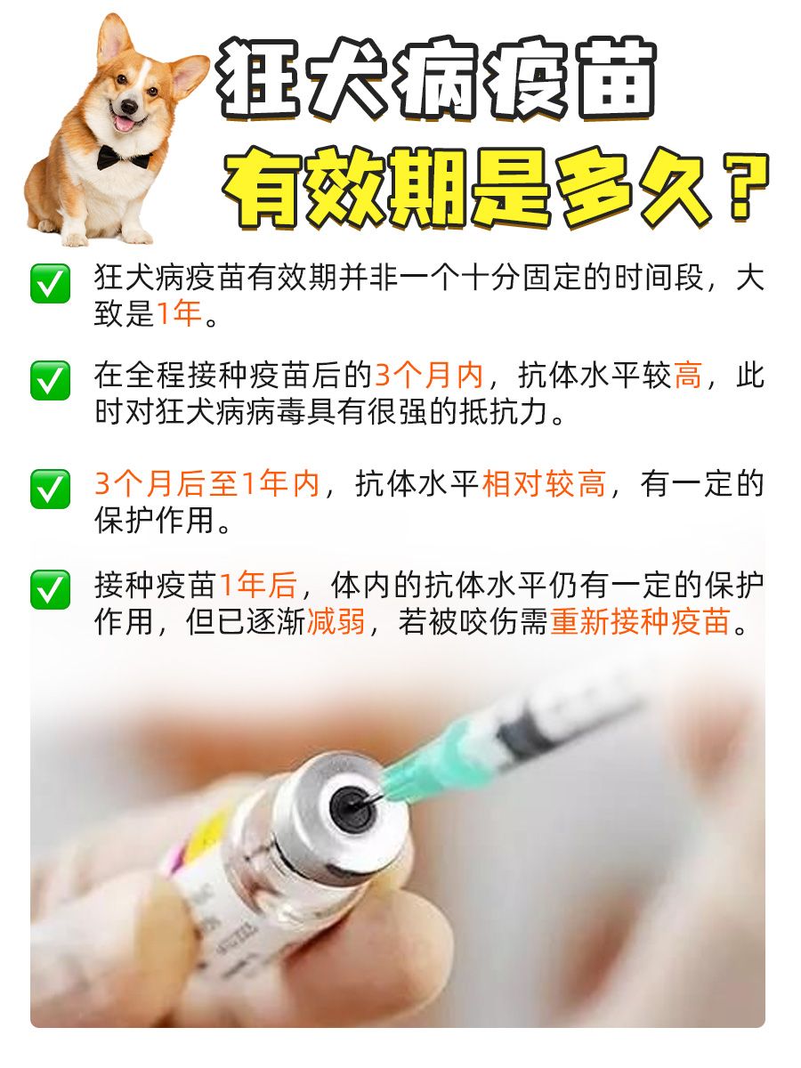 狂犬病疫苗有效期，你的安全防线能撑多久？