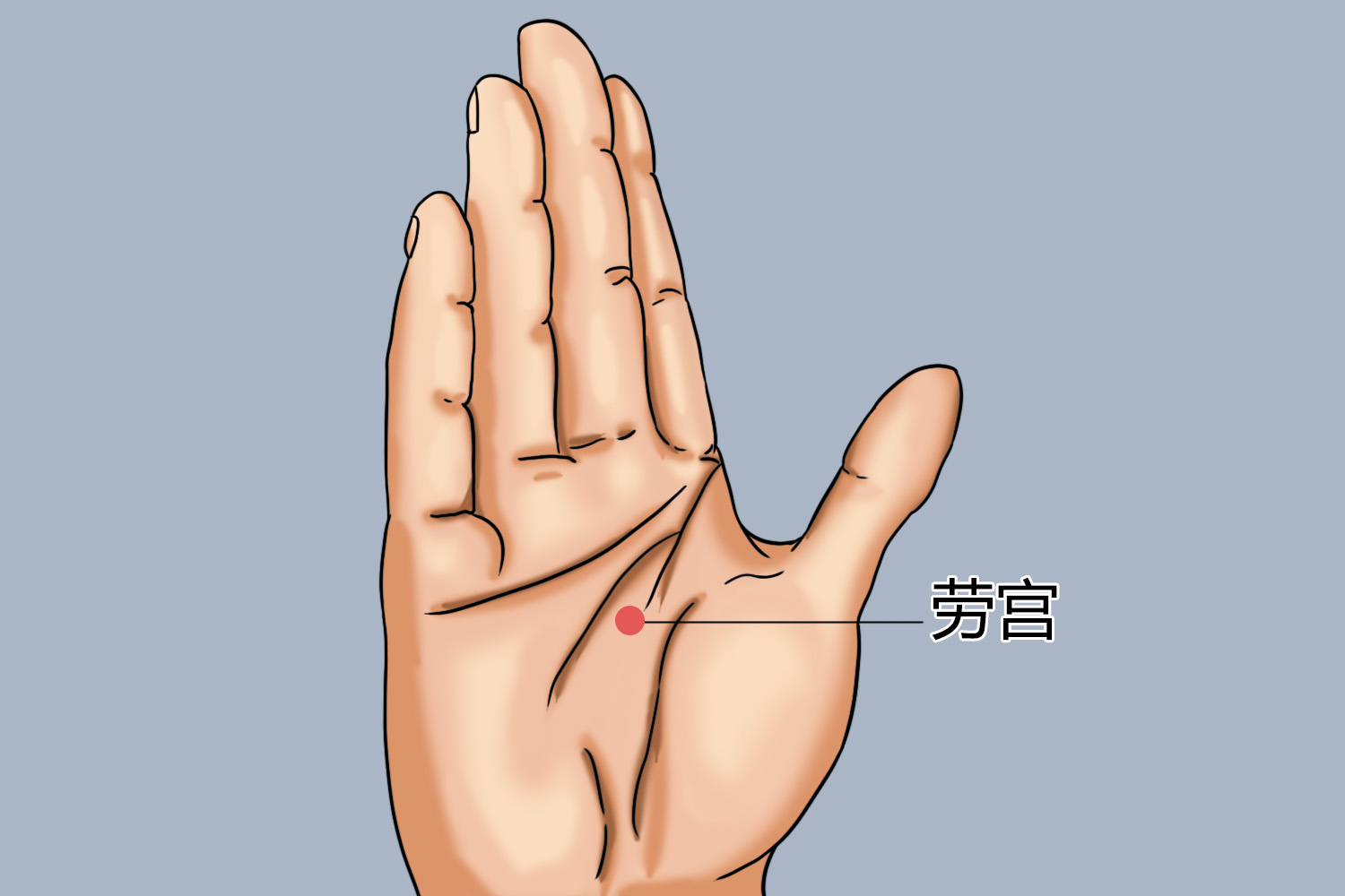 劳宫穴图