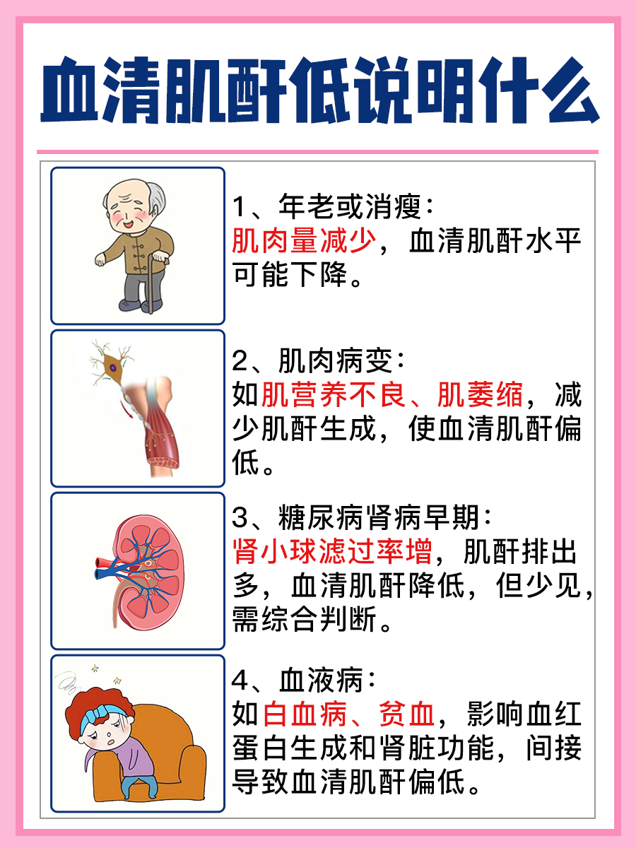 带你解锁-血清肌酐低说明什么