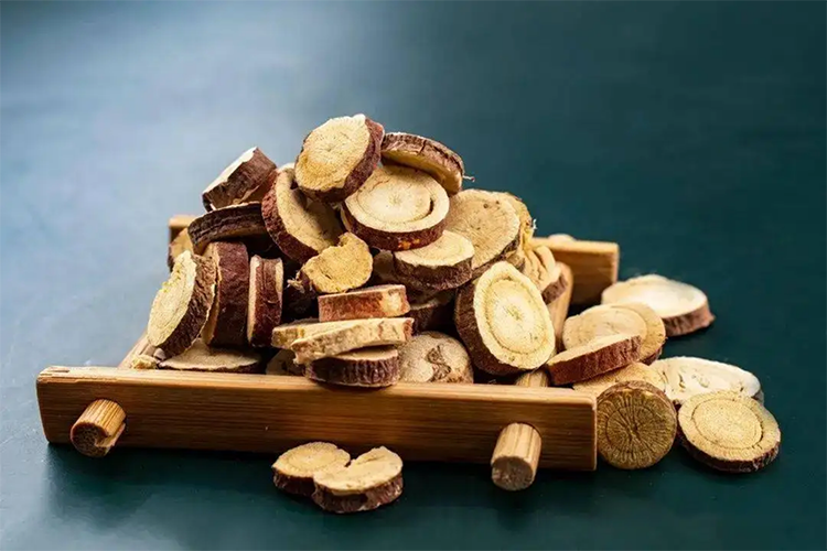 炙甘草根横切面图 炙甘草根横切面图