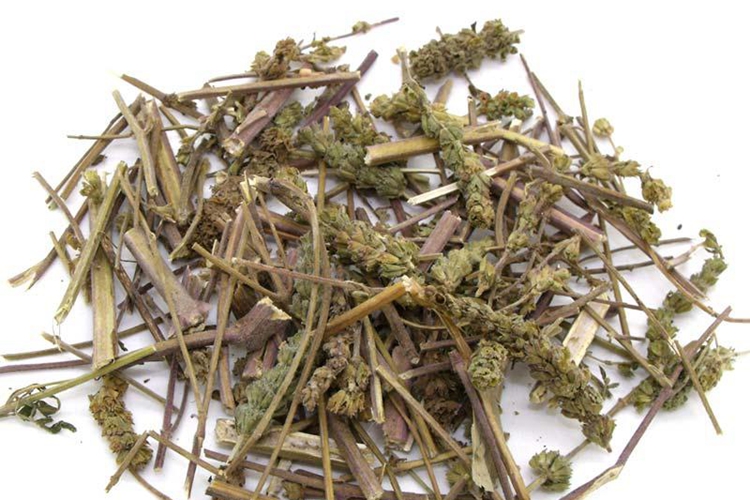 荆芥药材图 荆芥药材图