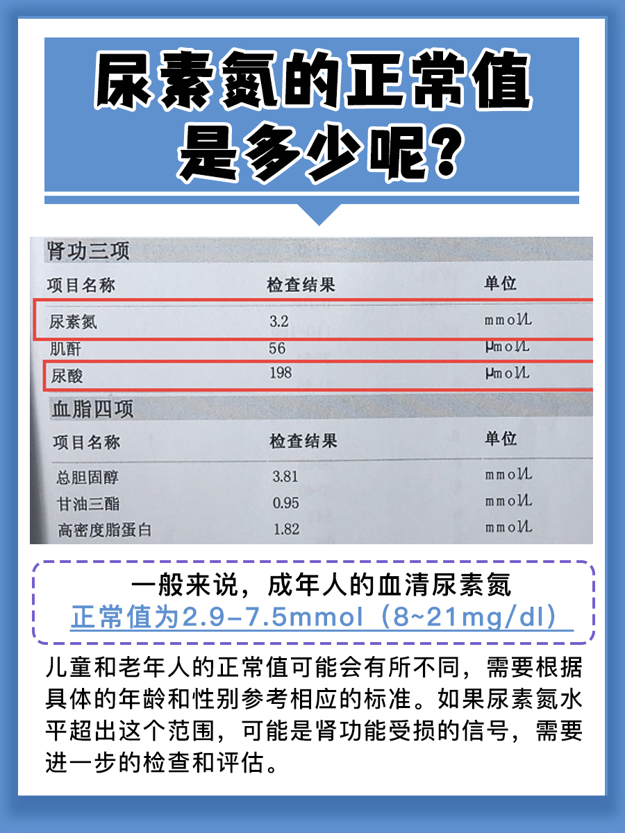 尿素氮正常值是多少？了解肾功能指标