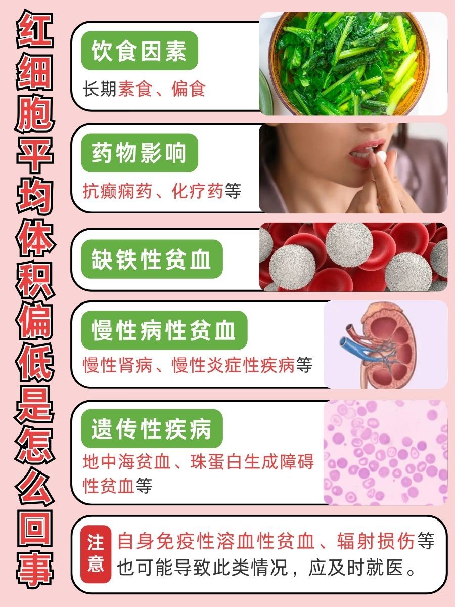 红细胞平均体积偏低，背后真相让你大吃一惊！