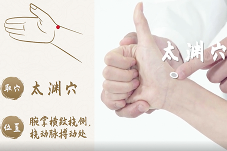 太渊穴位置图 太渊穴位置图
