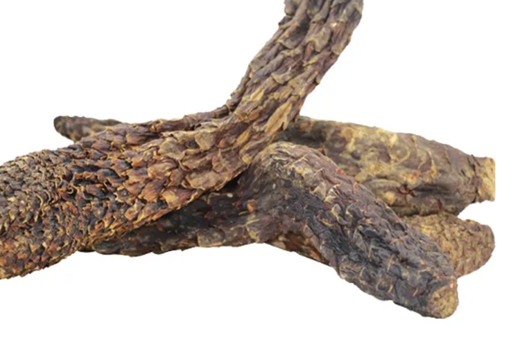 肉苁蓉药材图 肉苁蓉药材图