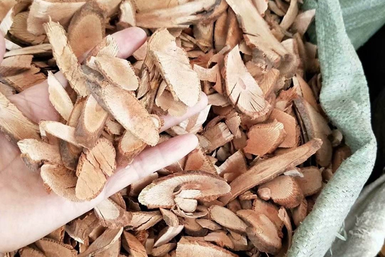 大力王中药图 大力王中药图