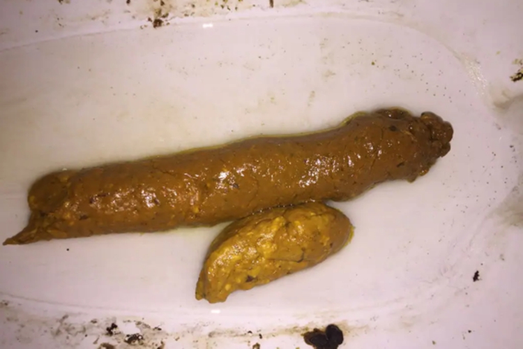 香蕉便是什么样子图片