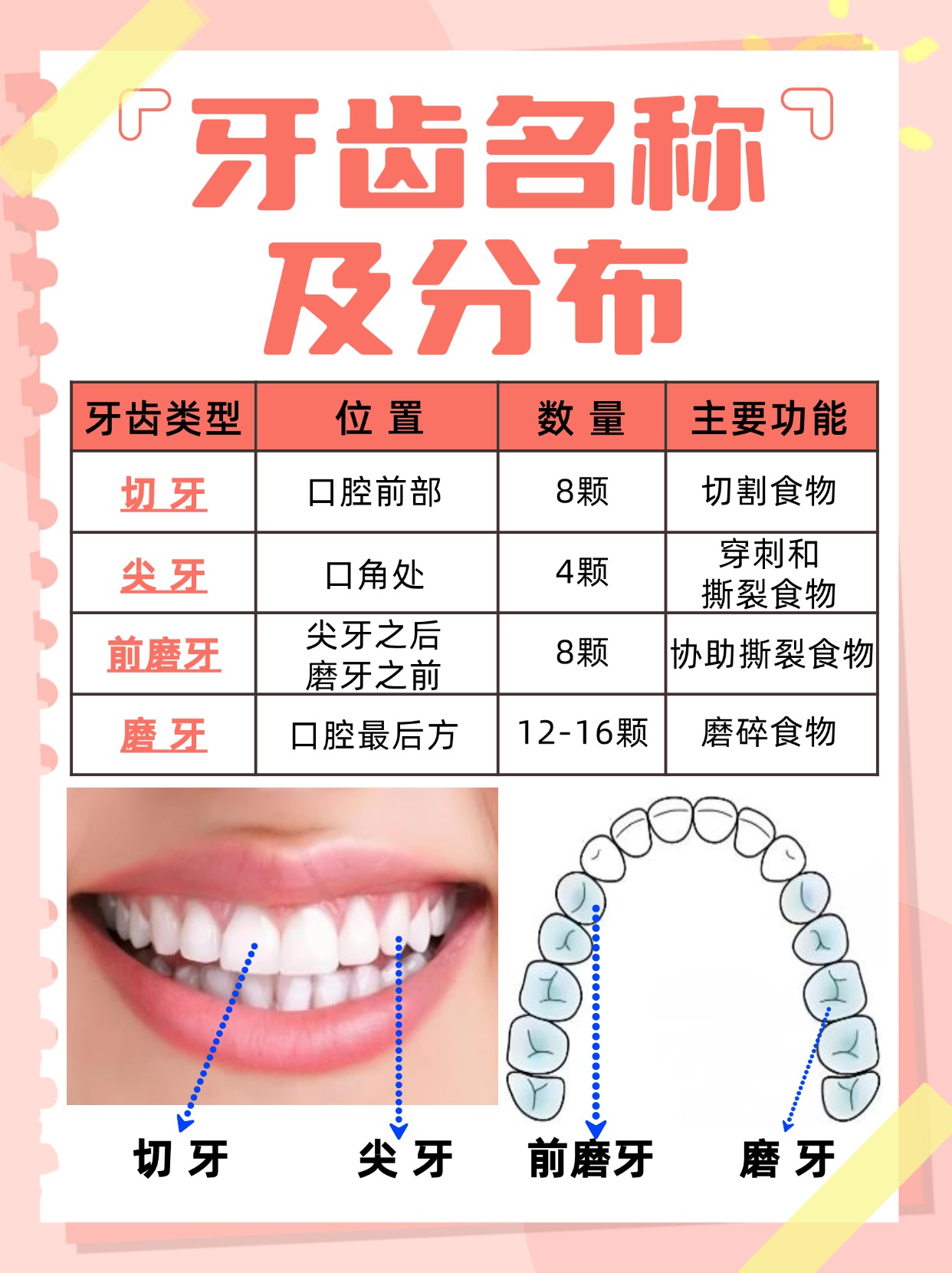 蜗居19