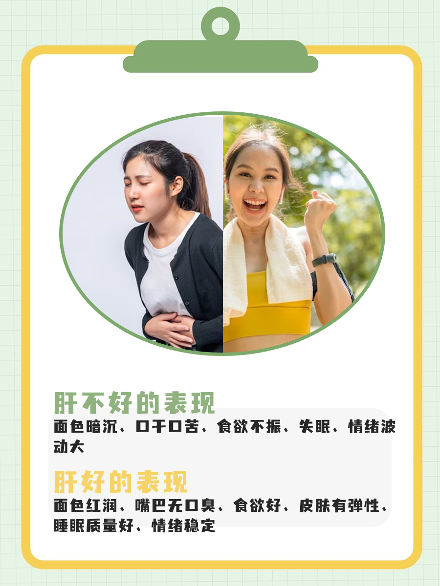 护肝贴真的是智商税吗？