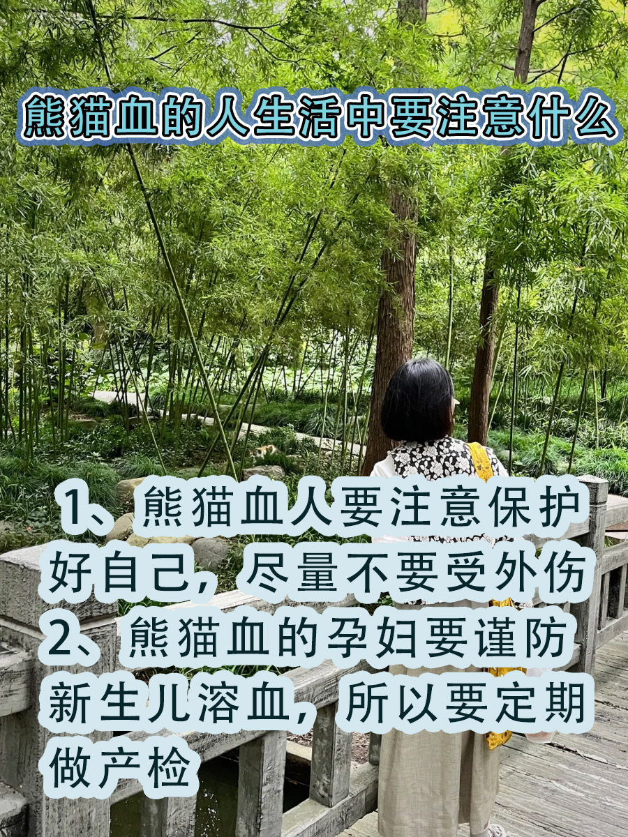 O型血不叫熊猫血，Rh阴性血才叫熊猫血！