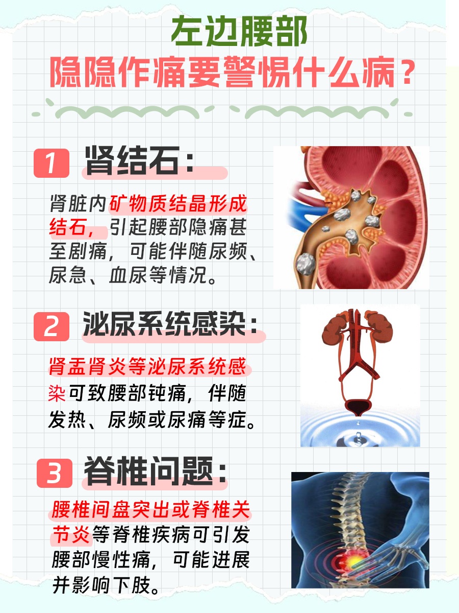 左边腰部隐隐作痛，要警惕这些病！