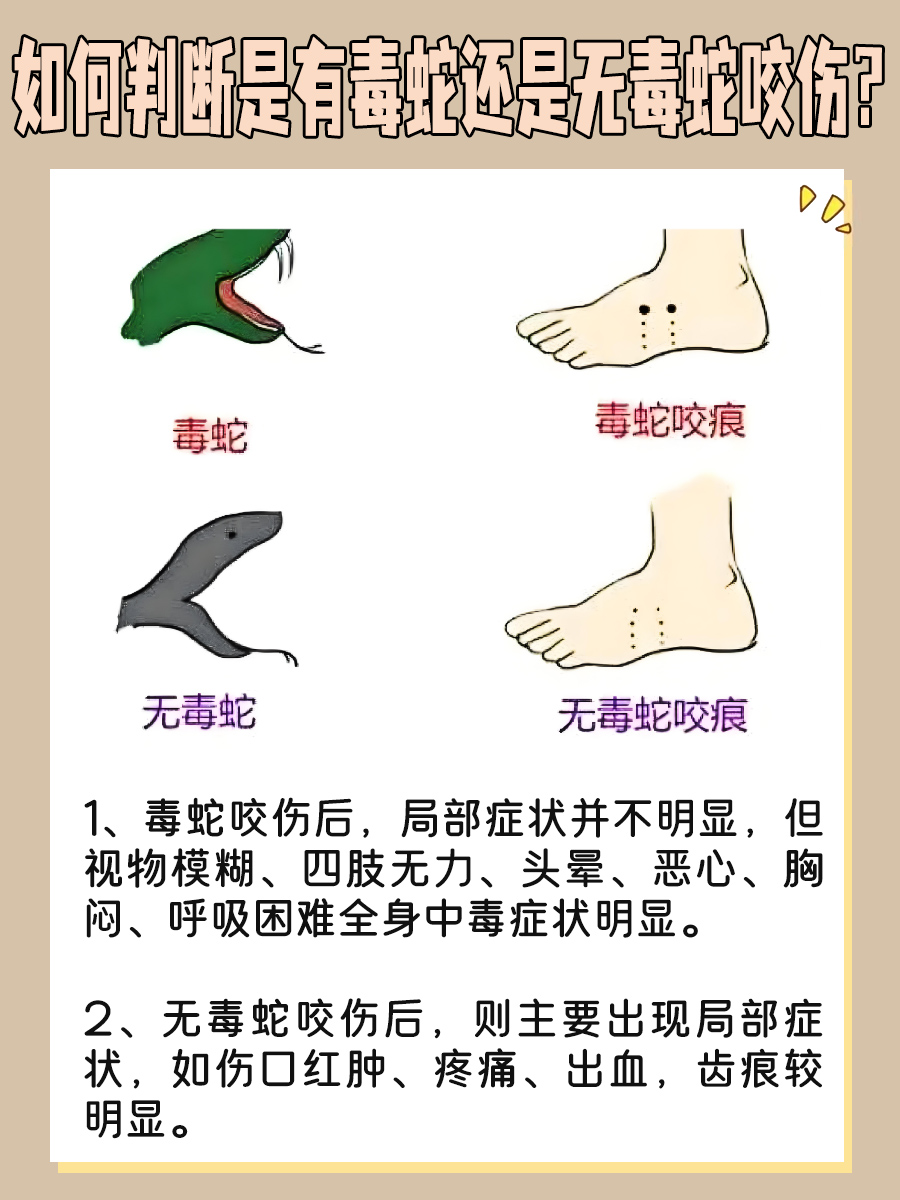 无毒蛇咬了人会怎么样？该怎么办？