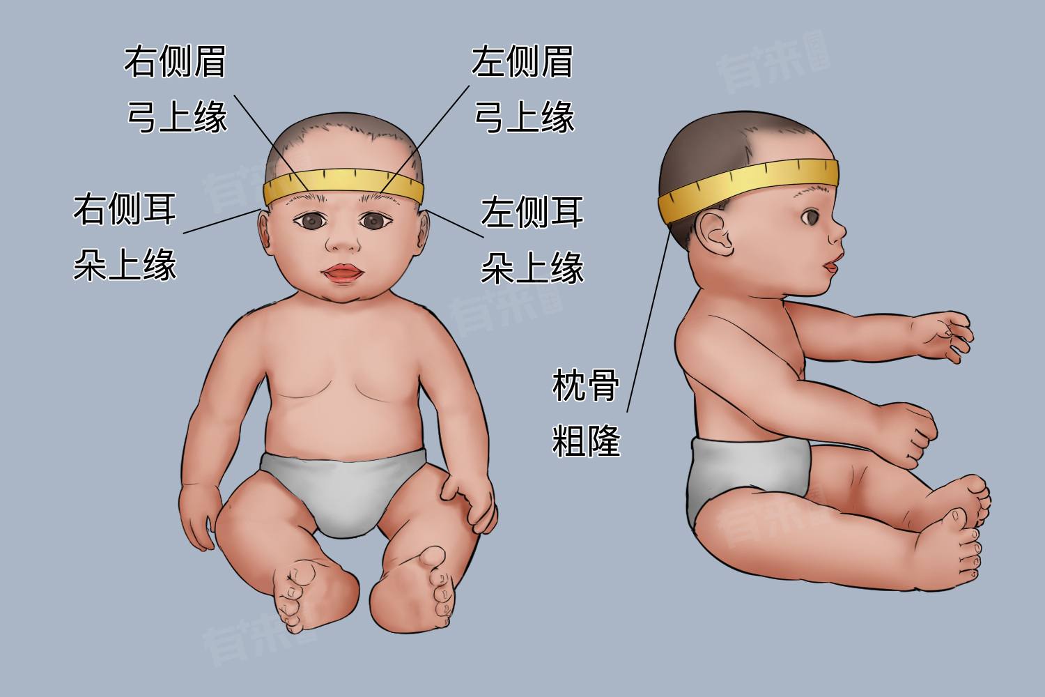 新生儿头围