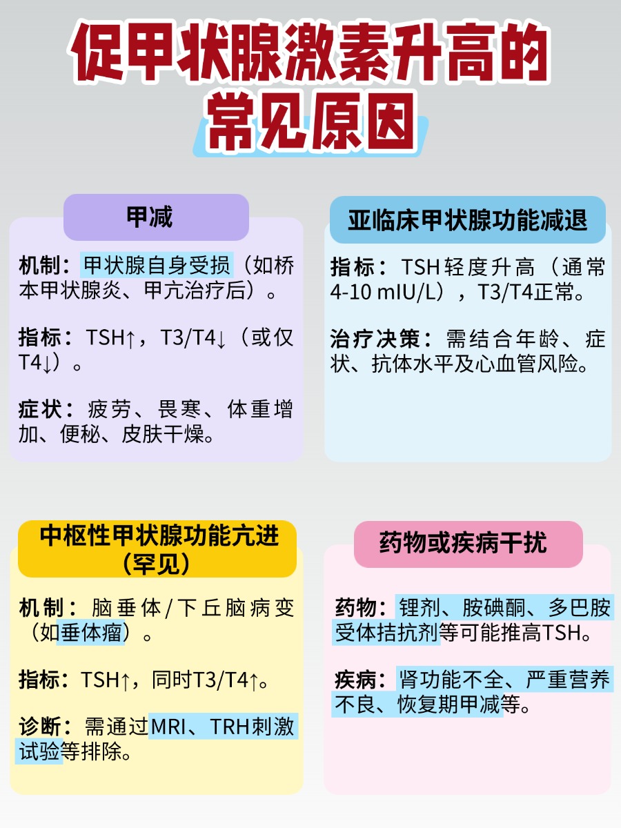促甲状腺激素高说明什么问题?一文说清!