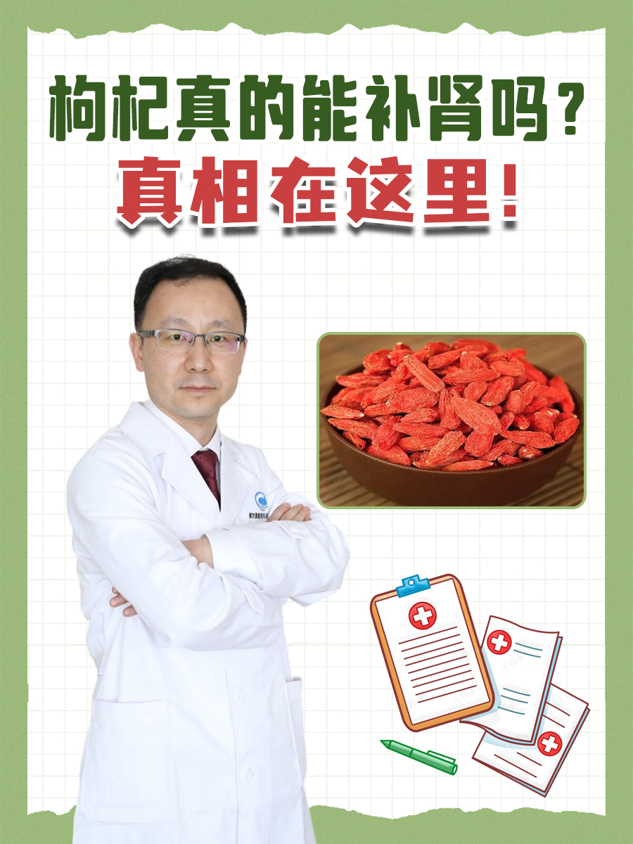 枸杞真的能补肾吗？真相在这里！