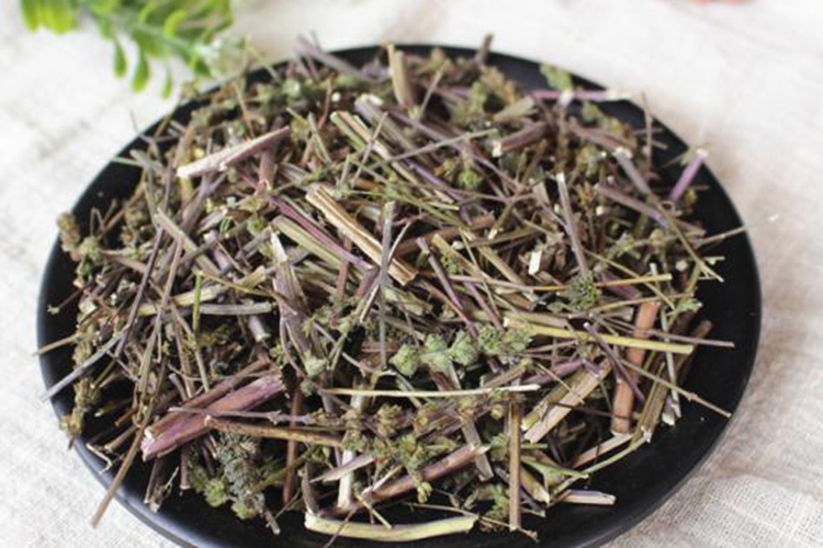 荆芥穗切段图