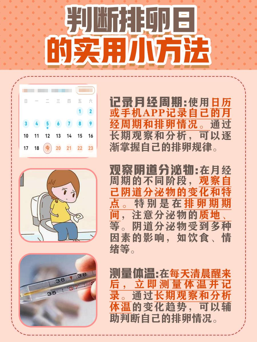 女性生育周期：排卵期与排卵日有什么区别