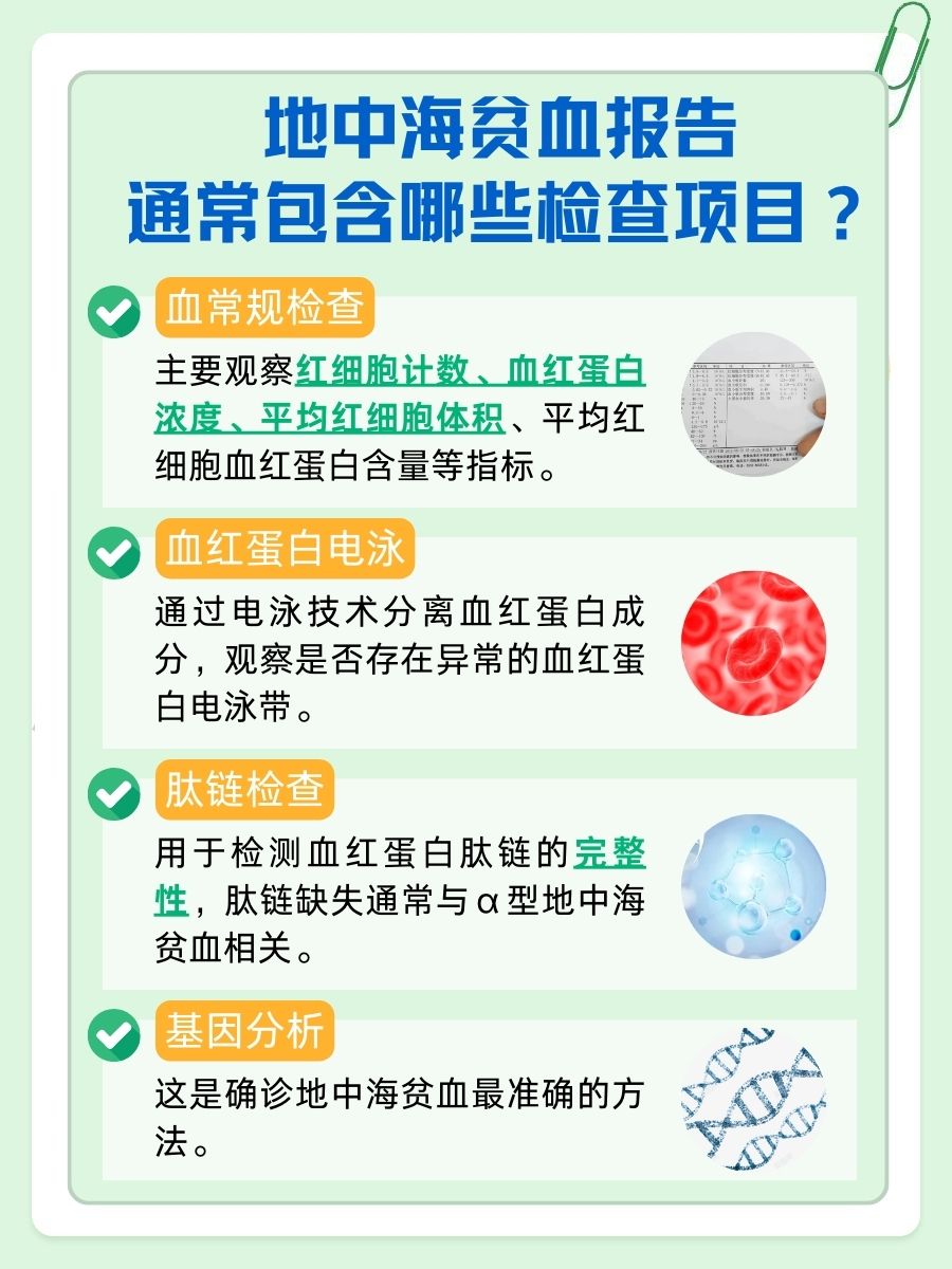 地贫报告全攻略，医生教你怎么看