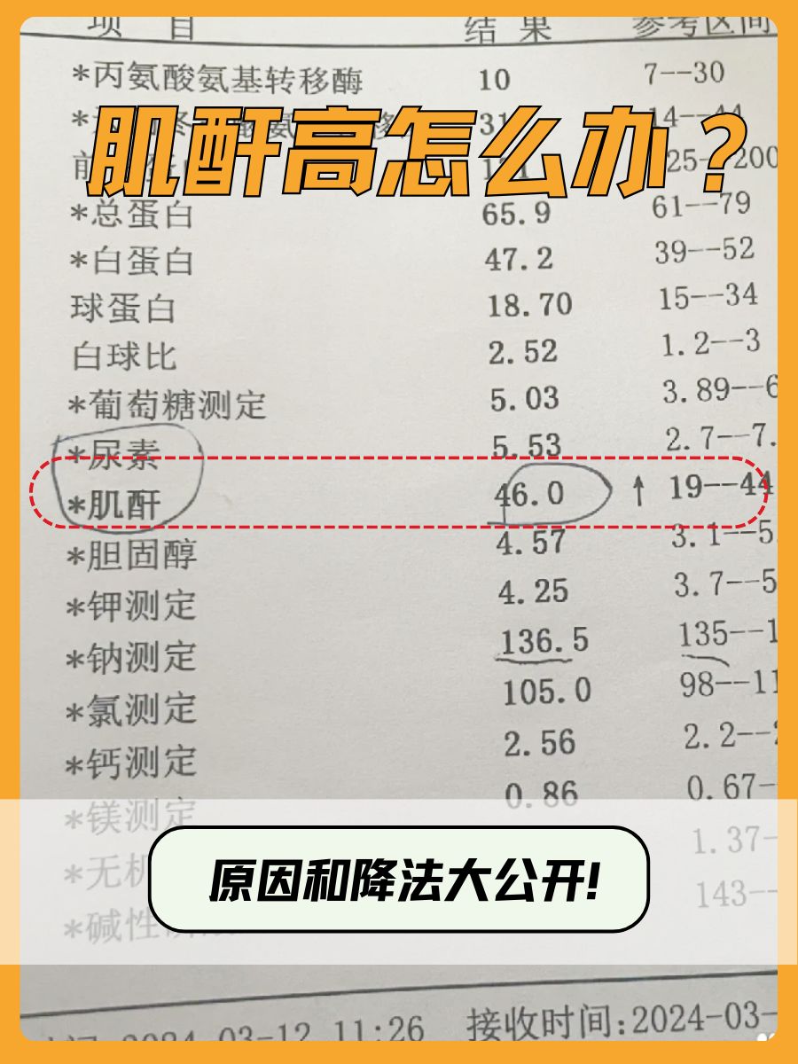 肌酐高怎么办？原因和降法大公开！