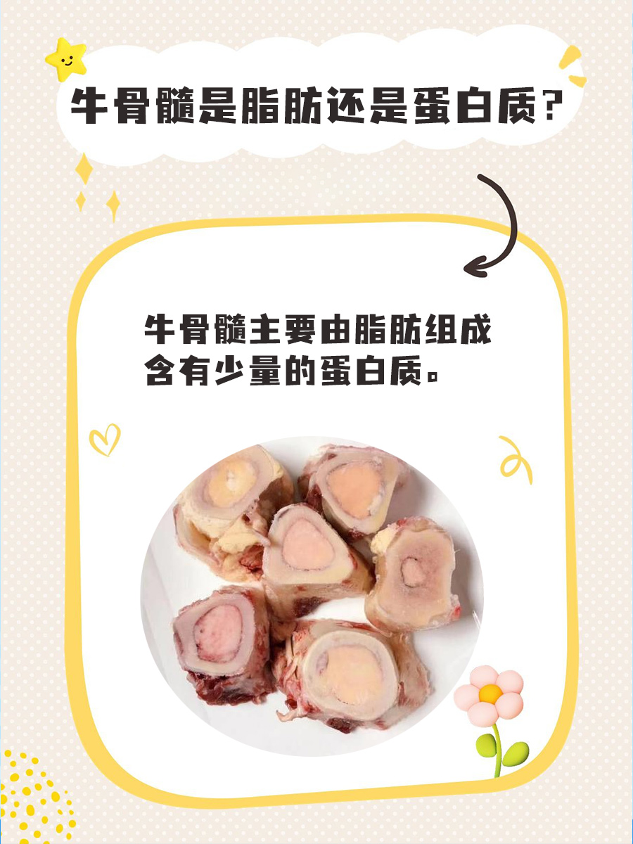 一分钟揭秘：牛骨髓是脂肪还是蛋白质？