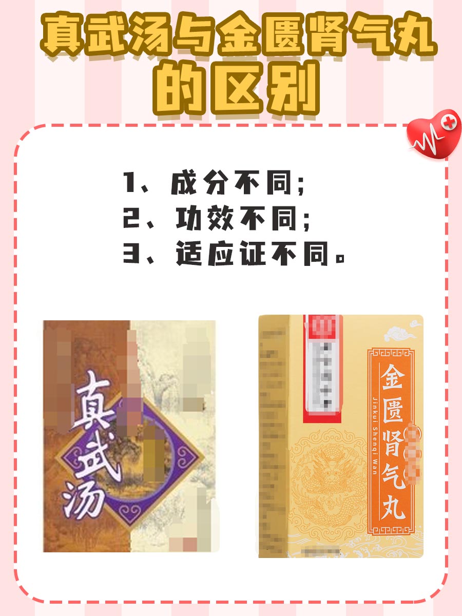 分享：真武汤与金匮肾气丸区别解析！