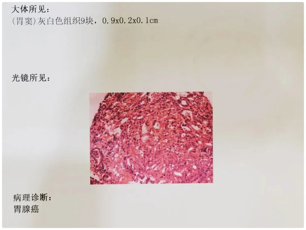 微信图片_2026-08-07_163904_281.jpg